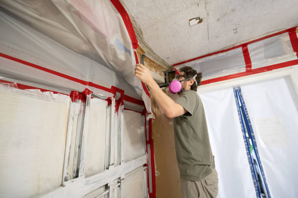 Best Crawl Space Mold Remediation  in Southgate, FL